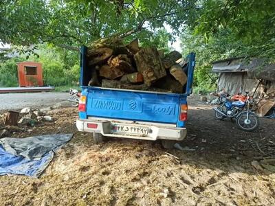 کشف ۵ تن چوب جنگلی قاچاق در رباط کریم