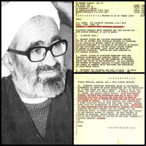 ارزیابی سفارت آمریکا از آیت‌الله منتظری چه بود؟/ آیت‌الله منتظری: وقتی در زندان بودم از رای آوردن کارتر خوشحال شدم