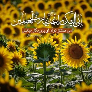 امام سجّاد علیه السلام: من مشتاق توأم، ای پروردگار جهانیان/ فرازی از دعای ابوحمزه ثمالی