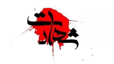 شهادت دلیرانه 2 مدافع امنیت در سروآباد