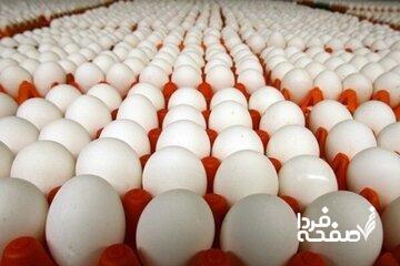 قیمت رسمی تخم‌مرغ اعلام شد/ جزییات