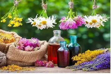 10 گیاه دارویی و اورژانسی که حتما باید در خانه داشته باشید!