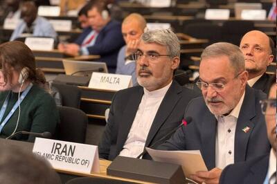 واکنش ایران نسبت به کاهش سهم خود از بودجه کمیساریای عالی پناهندگان