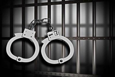 دستگیری ۸ مظنون در پرونده ربودن دختر ایرانی در کانادا