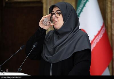 توقف در نشست سخنگوی دولت به دلیل حال نامساعد وی - تسنیم