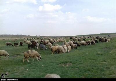 بیش از 140 هزار روستایی و عشایر اصفهانی بیمه تأمین اجتماعی هستند - تسنیم