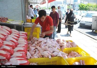 یک بام و دو هوای قیمت مرغ/ روایت دوگانه از واقعیت بازار/ سودجویان جولان می‌دهند! - تسنیم