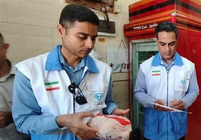 شناسایی و ضبط 9 هزار 149 فرآورده‌های خام دامی غیربهداشتی در استان بوشهر - تسنیم