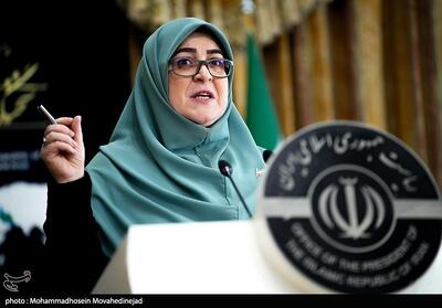 مهاجرانی اعلام کرد: آرایش جدید دولت در قبال مکانیسم ماشه/ متوجه نوسان قیمت‌ها هستیم - تسنیم