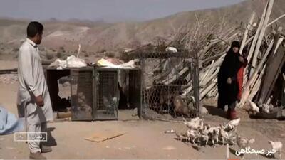 بازگشت به روستای پدری + فیلم