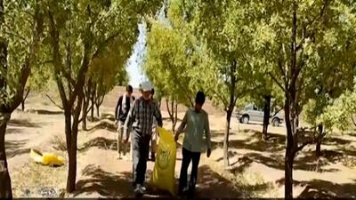 اهدای درآمد محصولات کشاورزی برای ادای فریضه الهی + فیلم