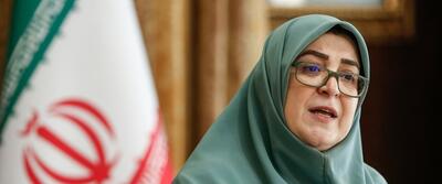 سخنگوی دولت: سیاسی کاری ممنوع/ استیضاح حق نمایندگان است