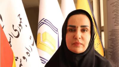 ️پیشرفت در اجرای طرح نهضت ملی مسکن جنوب کرمان