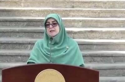 وضعیت واگذاری اختیارات به استانداران از زبان سخنگوی دولت