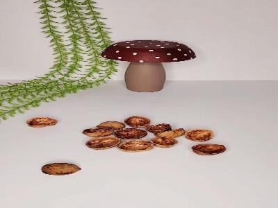 ایده دکوری؛ شمع پاییزی گردویی