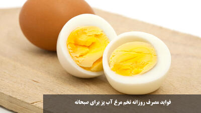 فواید مصرف روزانه تخم مرغ آب پز برای صبحانه برای مردان و زنان