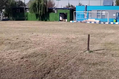 چمن یک ورزشگاه دیگر تهران زیر کشت رفت