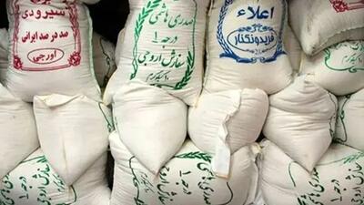 بررسی قیمت انواع برنج ایرانی در مهرماه ۱۴۰۴: جدول دقیق هاشمی، طارم و شیرودی