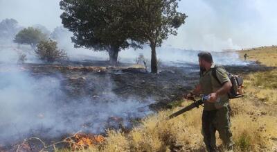 آتش سوزی مراتع جنگلی بخش گواور گیلانغرب را فرا گرفت