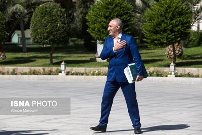 پورمحمدی: مطالبات گندمکاران پرداخت شده است/پزشکیان پیگیر کوچک‌سازی دولت است