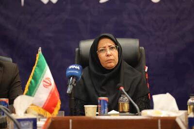 طرح عضویت سرآمدان علمی در بنیاد ملی نخبگان به‌زودی اجرایی می‌شود