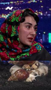 زن ایرانی با یک شغل عجیب؛ حلزون چرانی!