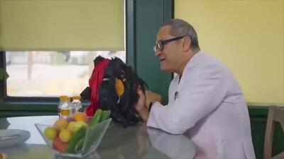 قسمت ۱۲ کارناوال رامبد جوان