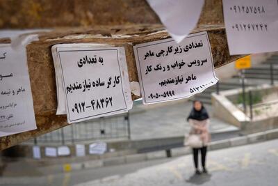 نرخ بیکاری جوانان ۱۵ تا ۲۴ ساله تابستان ۱۴۰۴ برابر ۱۹ درصد بود