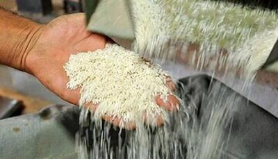 برنج هندی و پاکستانی کیلویی چند؟  / برنج پاکستانی ۲ برابر نرخ مصوب در بازار عرضه می‌شود