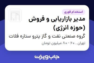 استخدام مدیر بازاریابی و فروش (حوزه انرژی) در گروه صنعتی نفت و گاز پترو ستاره فلات