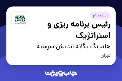 استخدام رئیس برنامه ریزی و استراتژیک در هلدینگ یگانه اندیش سرمایه