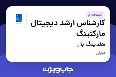 استخدام کارشناس ارشد دیجیتال مارکتینگ در هلدینگ بان