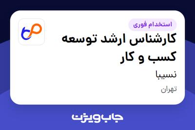 استخدام کارشناس ارشد توسعه کسب و کار در نسیبا