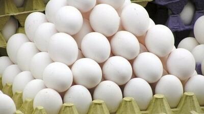 امیرابراهیمی: آذربایجان شرقی سومین استان تولیدکننده تخم‌مرغ است