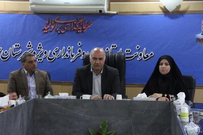 بروجرد از قطب‌های فرهنگی و هنری لرستان محسوب می‌شود
