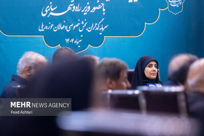 صادق: تحریم‌ها و کمبود منابع مانع اجرای کامل تعهدات ریلی است