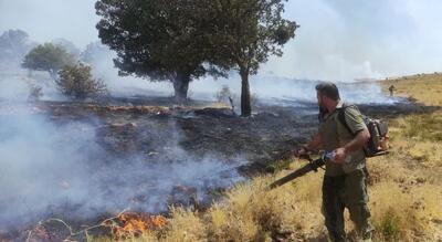 آتش‌سوزی مراتع جنگلی بخش گواور گیلانغرب دوباره شعله‌ور شد