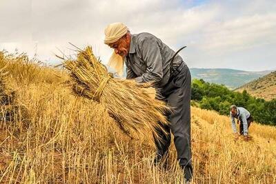 الهیاری: تحول نوین در بهسازی نهرهای کشاورزی مرند