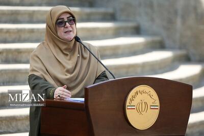 سخنگوی دولت: ایجاد شهرک‌های صنعتی مشترک با کشور‌های همسایه را در قالب دیپلماسی استانی دنبال می‌کنیم