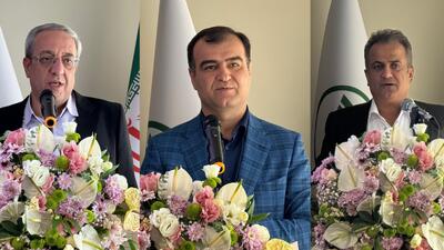 مدیرعامل بیمه البرز: ایجاد بیمه اتکایی ملی ضرورتی راهبردی برای صنعت بیمه است