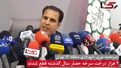 تا ۱۰ سال آینده هیچ درخت کاجی در سرخه‌حصار باقی نمی‌ماند / تاکنون ۲۰۰۰ کاج از این پارک جنگلی قطع شده است + فیلم