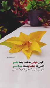 فال متولدین هر ماه در 16 مهر