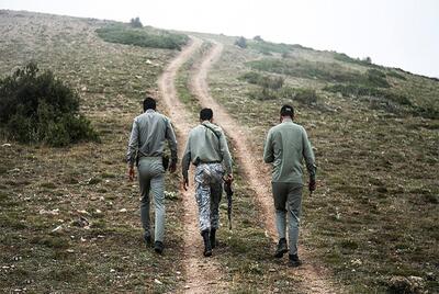 کمبود بیش از ۸ هزار محیط بان در کشور