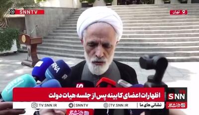 معاون حقوقی رئیس‌جمهور: برداشت پول از حساب بابک زنجانی در مالزی را به هیچ وجه تایید نمی‌کنیم
