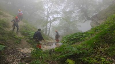 پیدا شدن ۳ مفقودی در جنگل ناهارخوران گرگان