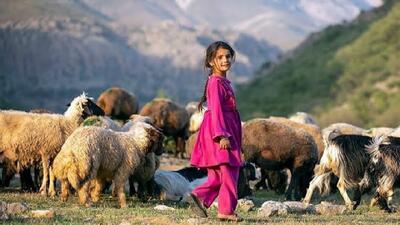 پلدختر خاص‌ترین اقامتگاه عشایری + فیلم