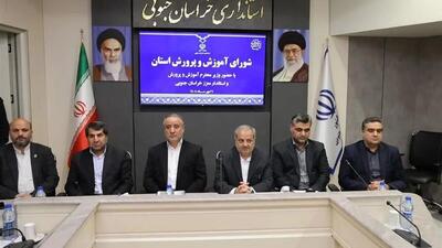 بهره‌برداری آموزشی از ظرفیت زرشک و زعفران در خراسان جنوبی ضروری است