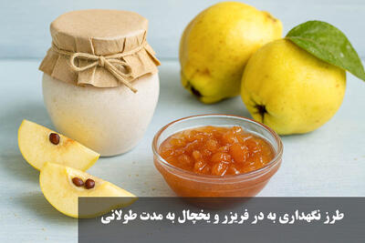 طرز نگهداری به در فریزر و یخچال به مدت طولانی + مدت زمان نگهداری به در فریزر