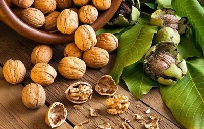 چرا آجیل‌ها باعث چاق نمی‌شوند؟