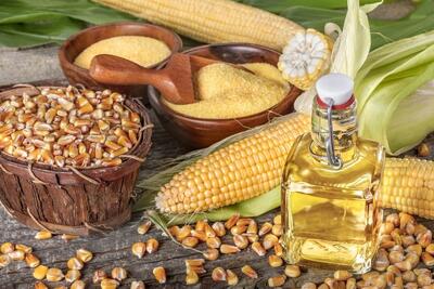 ذرت و روغن در صدر واردات کشور در نیمه نخست سال